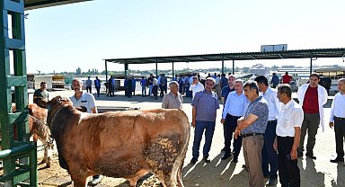Çınar, canlı hayvan pazarını ziyaret edip, üreticilerle bir araya geldi
