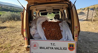 Kayısı hırsızları jandarmadan kaçamadı