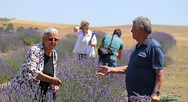 Lavanta tarlalarında görsel şölen