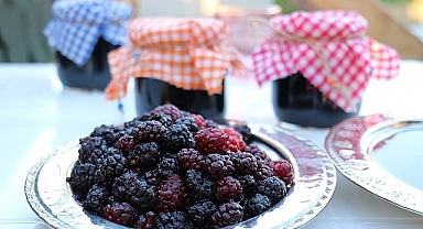 Malatya'da Üretip Dünyanın Dört Bir Yanına Horum Dutu Pekmezi Gönderiyorlar