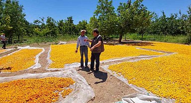 MHP'li Fendoğlu'ndan kayısı üreticilerine ziyaret