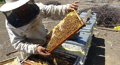 32 yıllık arıcından sahte bal uyarısı