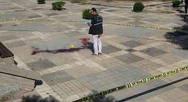 Alkollü arkadaşların kavgası kanlı bitti