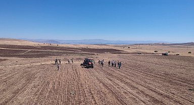 Arguvan'da nohut hasat tarla günü yapıldı