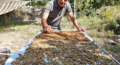 Genç girişimcinin ektiği dutlar yüz güldürdü