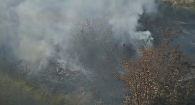 Malatya'da anız yangınında kayısı ağaçları zarar gördü
