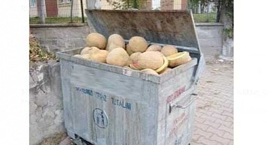 Malatya'da Çöpe Atılan Kavunlar Tepki Çekti