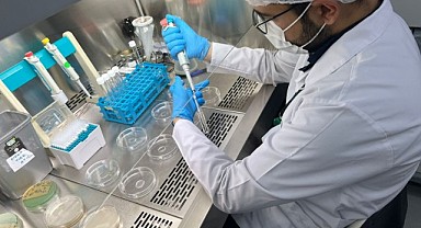 Malatya'nın İhracatı 