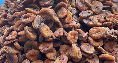 Organik gün kurusu kayısının tanesi 2 TL