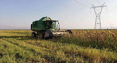 Yazıhan'da Ayçiçeği Tarlalarında Hasat Başladı