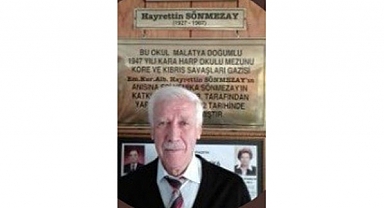 Ağaçtan Düşen Emekli Müdür Numan İşcan Hayatını Kaybetti