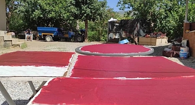 Çilek, Artık Pestil Olarak Sofralara Geliyor