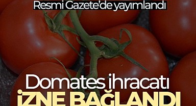 Domates ihracatı izne bağlandı
