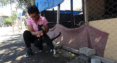 Emekli maaşını sokak hayvanlarına harcıyor
