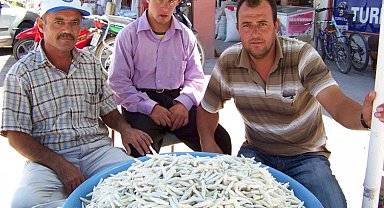 Kenger Sakızı'nda Coğrafi İşaret Belgesi için başvuru yapıldı