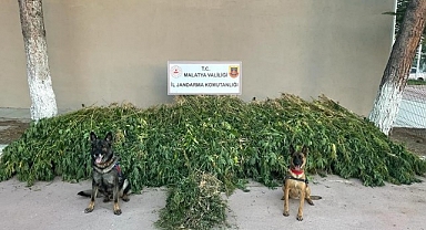 Malatya'da dronlu uyuşturucu operasyonu