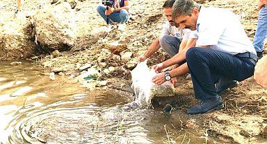 Malatya'daki göletlere 2 milyon yavru balık