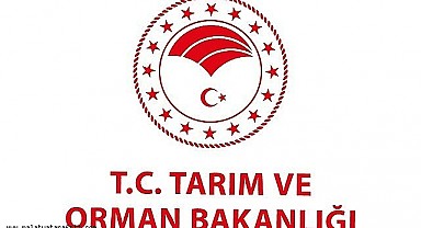 Tarım ve Orman Bakanlığı 11 Sözleşmeli Bilişim Personeli Alımı 2022