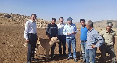 Yetiştiricilerin sorunları dinlendi