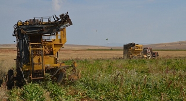 Darende patateste bölgenin cazibe merkezi oldu