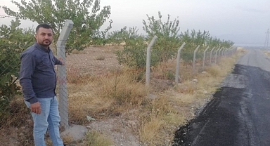 Kayısı üreticisinin başı tel örgü hırsızlarıyla dertte
