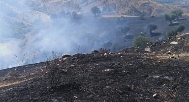 Pütürge'de 70 Dönümlük Alan Yandı 