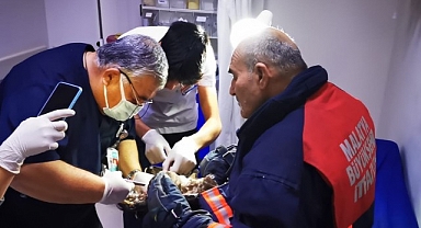 Tele takılan şahini itfaiye ekipleri kurtarıldı