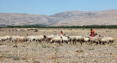 Yayladan dönüşler devam ediyor