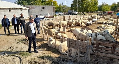 Başkan Kiraz “Mağdur olan üreticimizin zararının karşılanması gerekiyor”