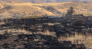 Hekimhan'da arazi yangını: 8 dönüm zarar gördü