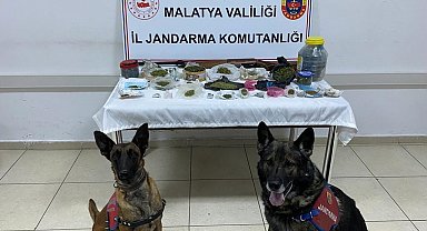 Jandarmadan 4 adrese uyuşturucu operasyonu