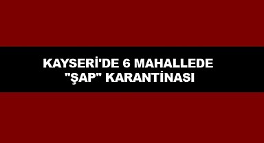 Kayseri'de 6 Mahalleye Şap Hastalığı Nedeniyle Hayvan Giriş Çıkışı Yasaklandı