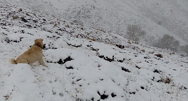 Malatya'da kent merkezinde yağmur, yüksek kesimlerde kar yağışı