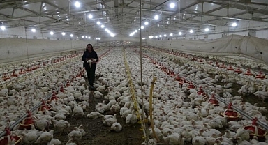 Temizlikçilikten Patronluğa Uzanan Başarı Hikayesi