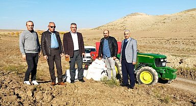 Yerli, ekmeklik ve makarnalık buğdaylarına deneme ekimi yapıldı