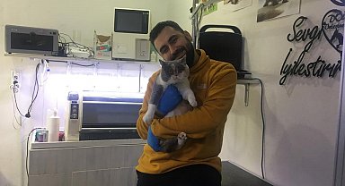 Evcil hayvanlara mikroçip taktırma için son gün 31 Aralık