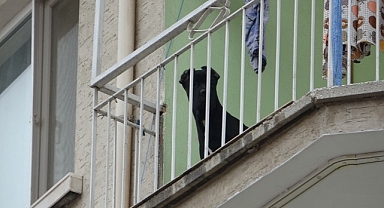 Evde bırakılarak misafirliğe gidilen köpek, polisi alarma geçirdi