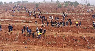 İnönü Üniversitesi'nde bin fidan toprakla buluşturuldu