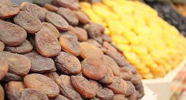 Kayısıda 11 ayda 350 milyon dolarlık ihracat