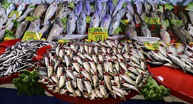 Malatya'da balıkçı tezgahlarının gözdesi 'istavrit'