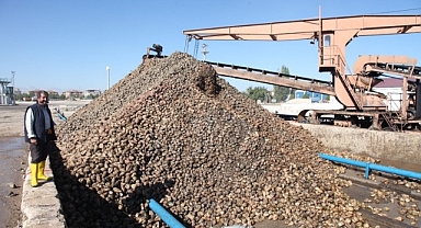 Pancar alım ve işleme kampanyası sona erdi