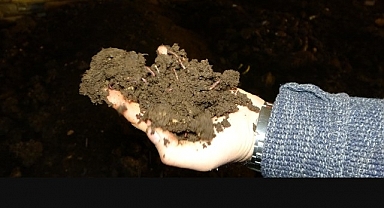 Solucan gübresine talep her geçen gün artıyor