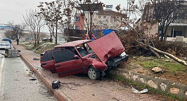 Kontrolden çıkan araç kaldırıma çıkıp ağacı yerinden söktü