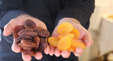 Malatya'da 1 yılda 402 milyon dolarlık kayısı ihracatı