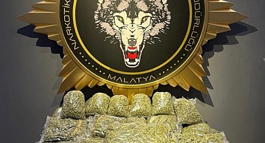 Malatya'da 40 kilo skunk ele geçirildi