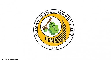 Orman Genel Müdürlüğü 50 Sözleşmeli Personel Alımı 2023