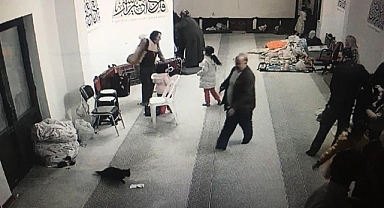 Depremde yaşlı adamın kedisini kurtarma anı yürekleri ısıttı