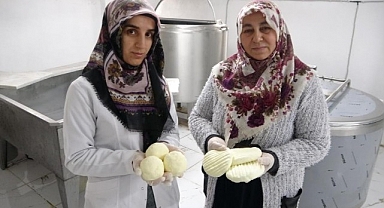 Malatya'da Gelin kaynana el ele verdi, peynir üretip satıyorlar