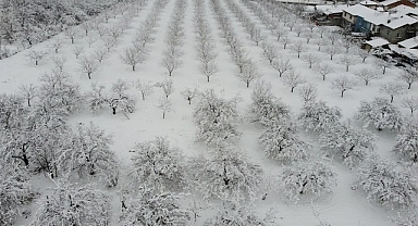 Malatya'da kayısı bahçeleri beyaz gelinliğini giydi
