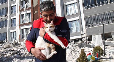 Malatya'da ağır hasarlı binada mahsur kalan kedi kurtarıldı